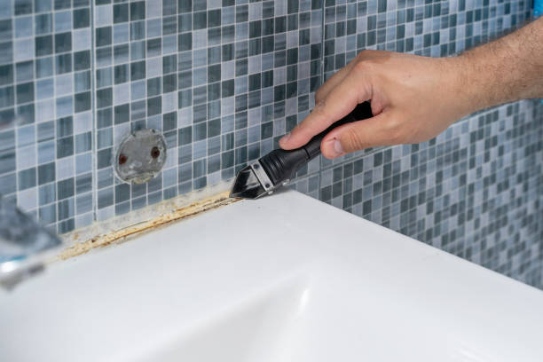 Best Office Mold Removal Services  in Lima, OH